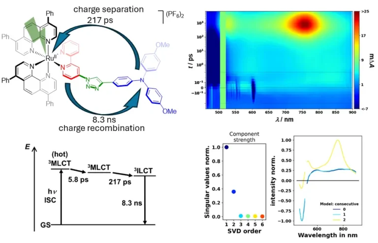 Novel bichromophoric photocatalyst and analysis of its excited state behavior upon 515 nm excitation using the HARPIA-LIGHT system. 