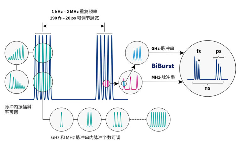 BiBurst