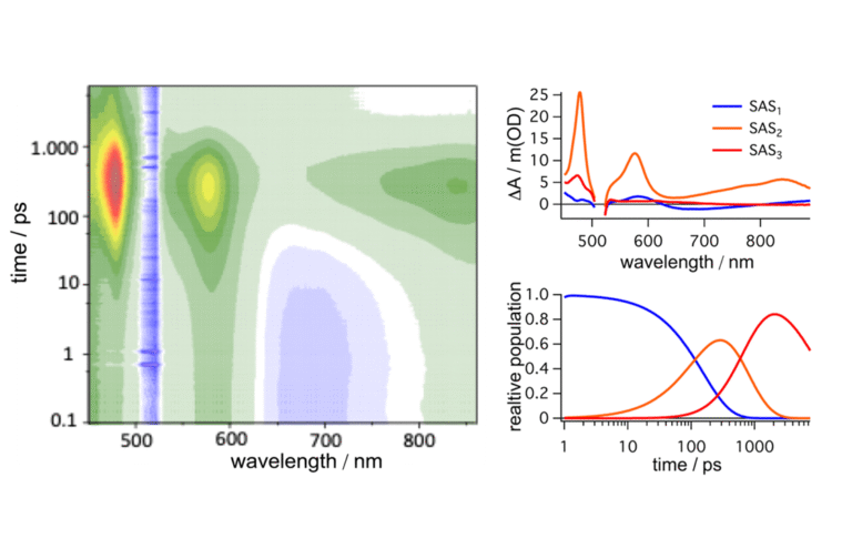 Temporal evolution of a novel photosensitizer based on earth-abundant elements