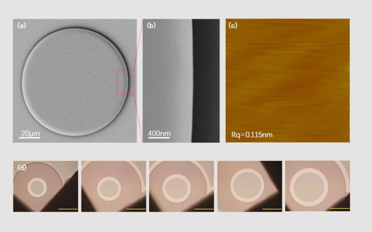 Lithium niobate microdisks fabricated using selective ablation