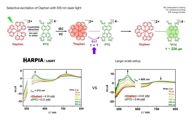 超快离子对内能量转移：大型瞬态吸收（TA）光谱系统与 HARPIA-LIGHT 的对比