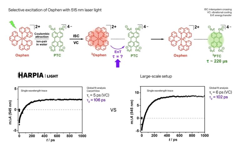 超快离子对内能量转移：大型瞬态吸收光谱系统与 HARPIA-LIGHT 的对比研究